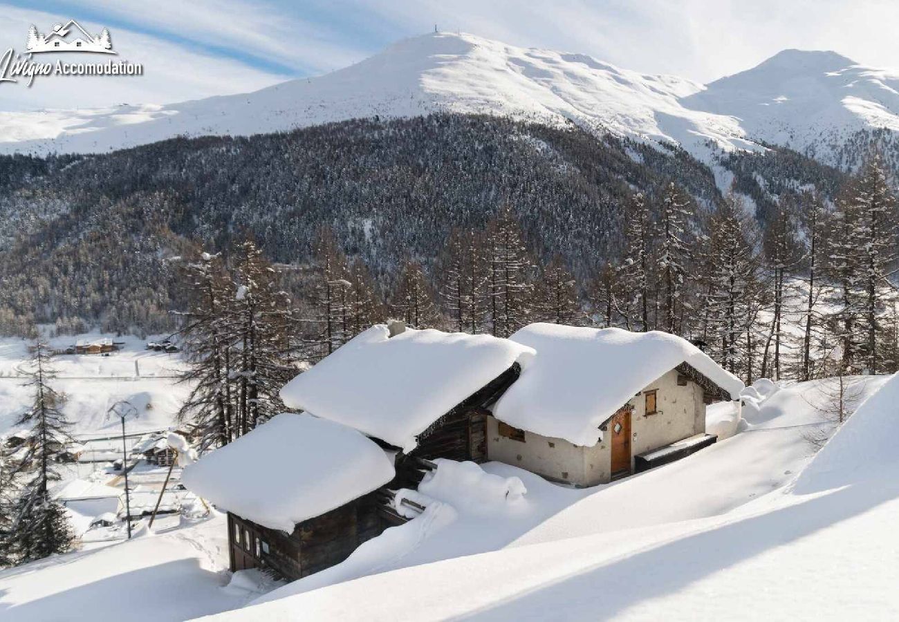 Chalet in Livigno - Baita Hanzel & Gretel - Appartamento Gretel 