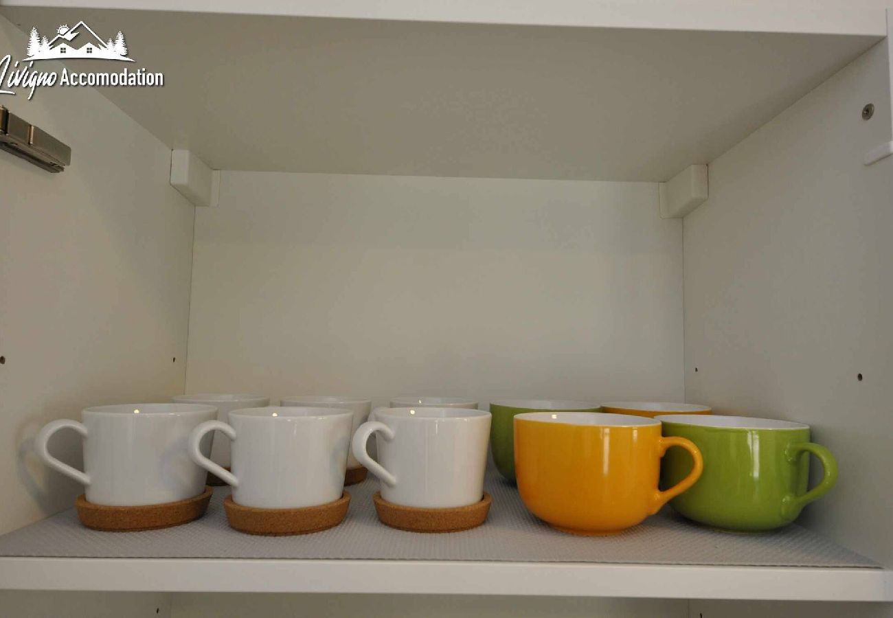 Ferienwohnung in Livigno - Eco House Livigno Mara Garden 