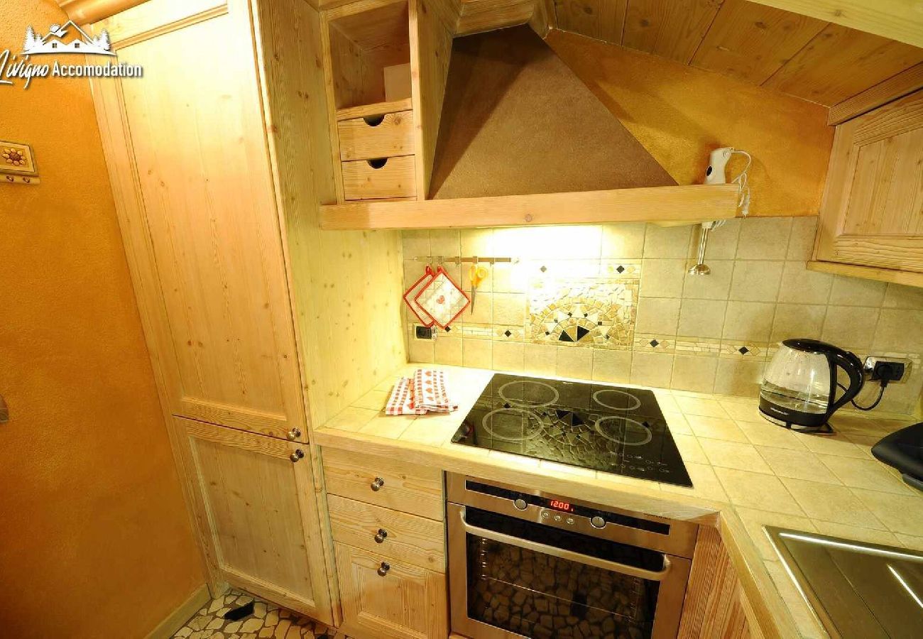 Ferienwohnung in Livigno - Chalet Lucky Attic Exlusive Chalet with fireplace 