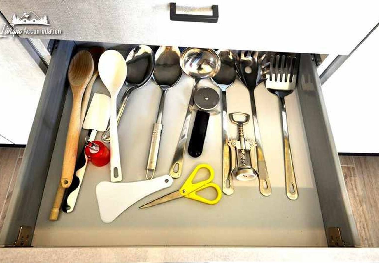 Ferienwohnung in Livigno - Chalet Riccio Maya