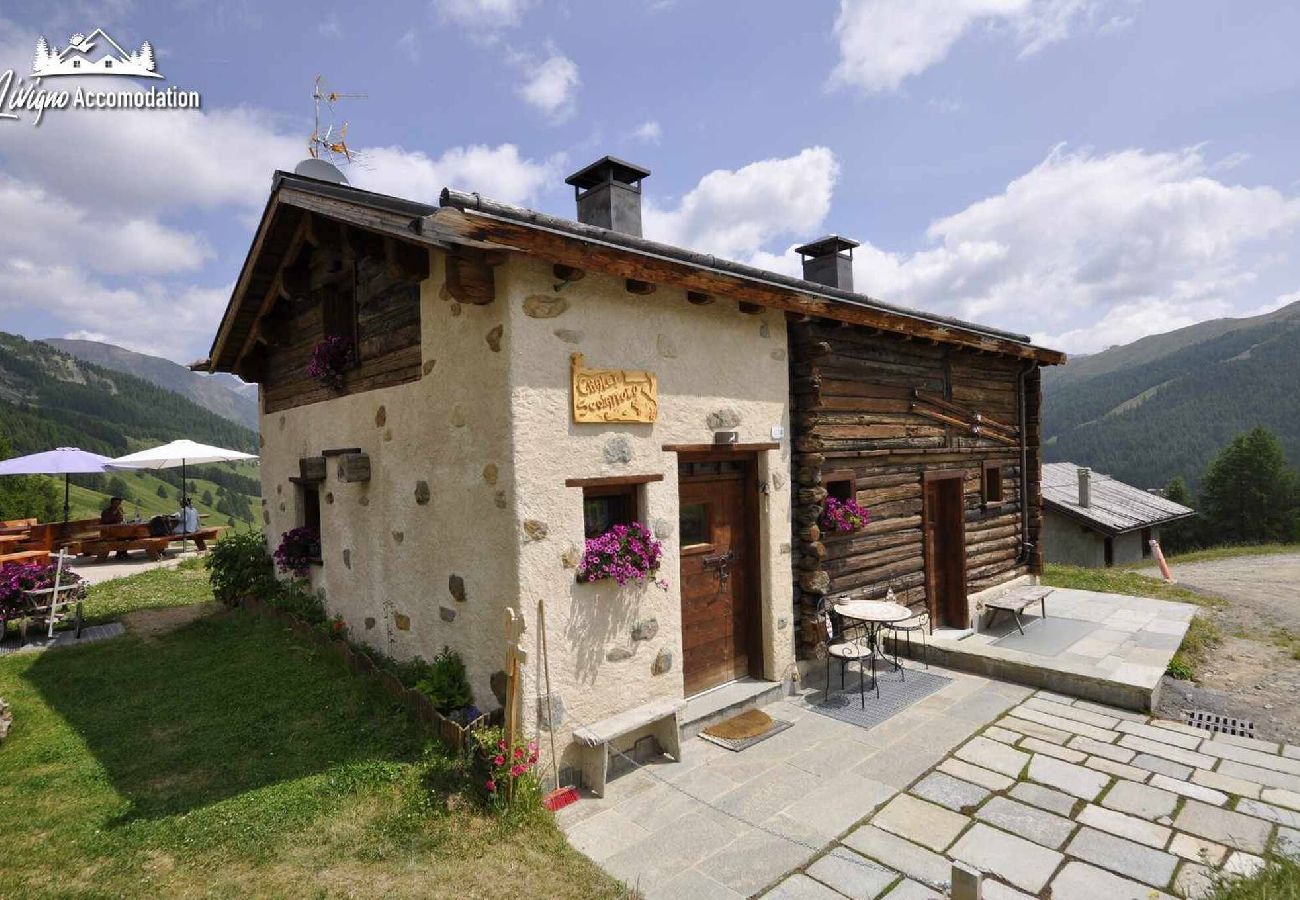 Chalet in Livigno - Mountain Chalet Scoiattolo 