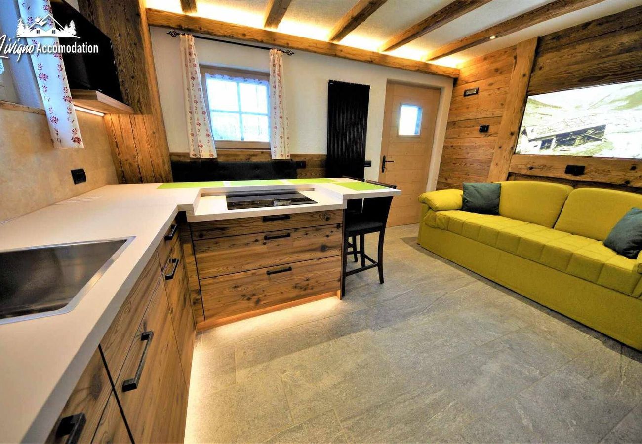 Chalet in Livigno - Mountain Chalet Scoiattolo 
