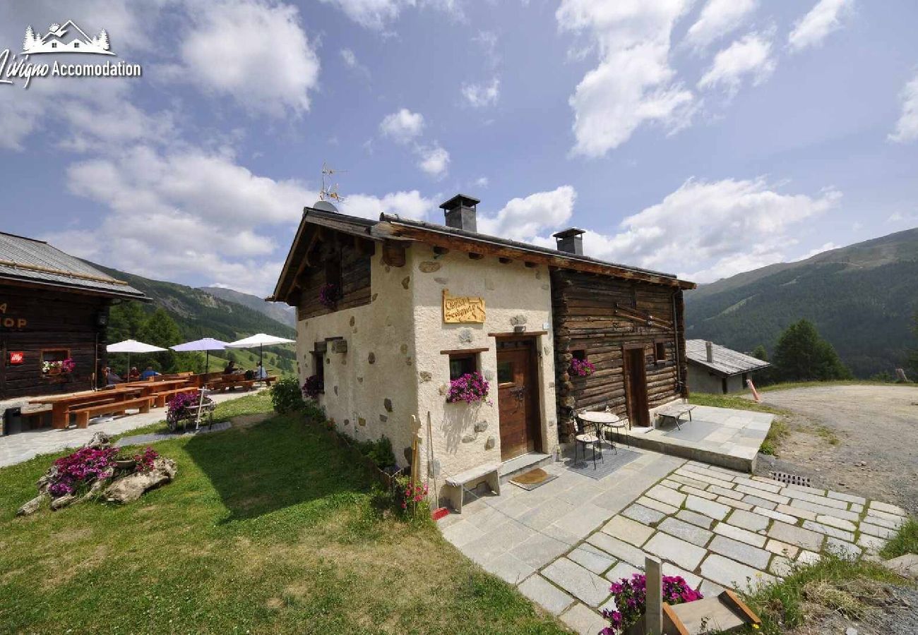 Chalet in Livigno - Mountain Chalet Scoiattolo 