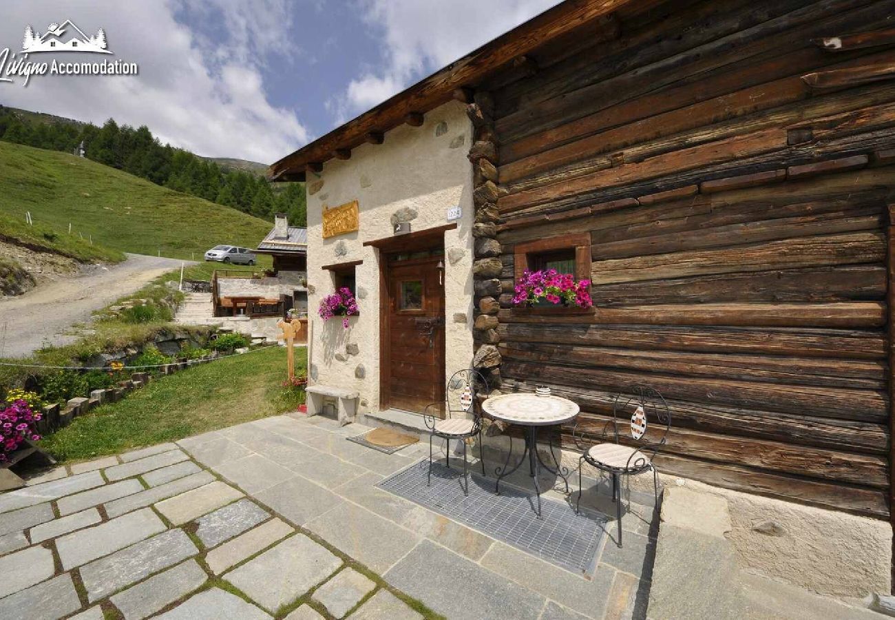 Chalet in Livigno - Mountain Chalet Scoiattolo 