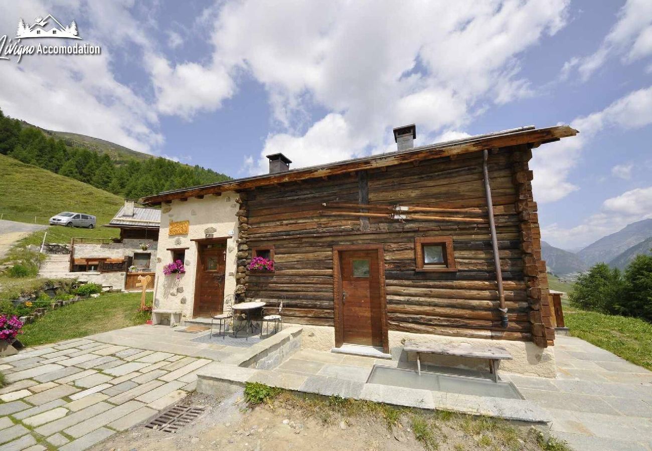 Chalet in Livigno - Mountain Chalet Scoiattolo 