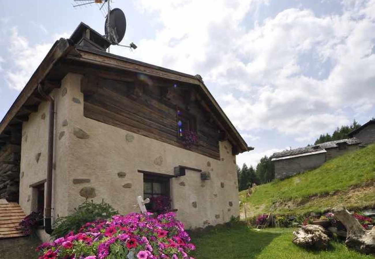 Chalet in Livigno - Mountain Chalet Scoiattolo 