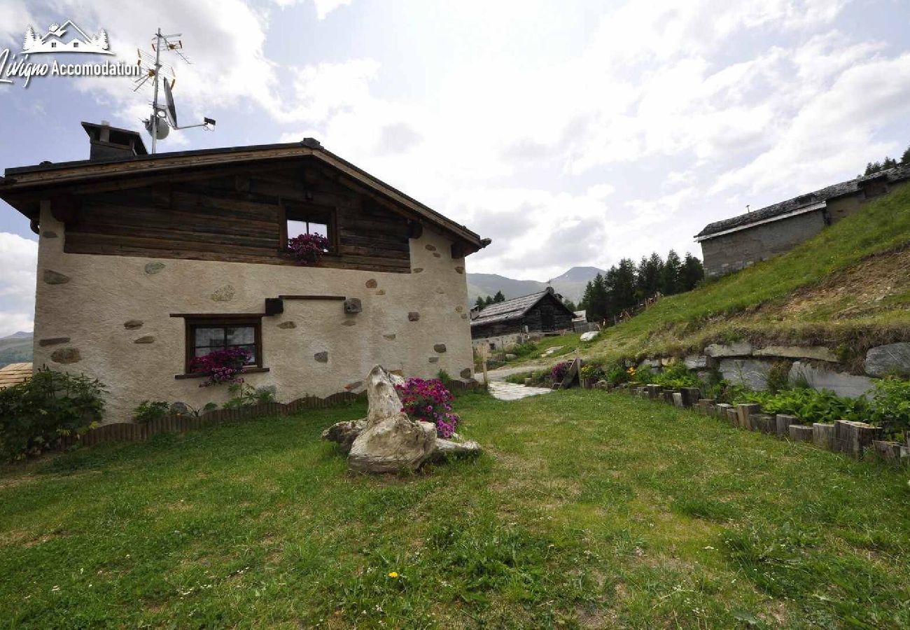 Chalet in Livigno - Mountain Chalet Scoiattolo 