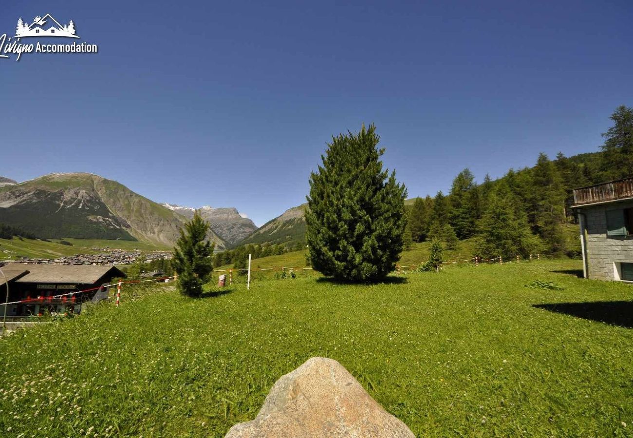 Ferienwohnung in Livigno - -