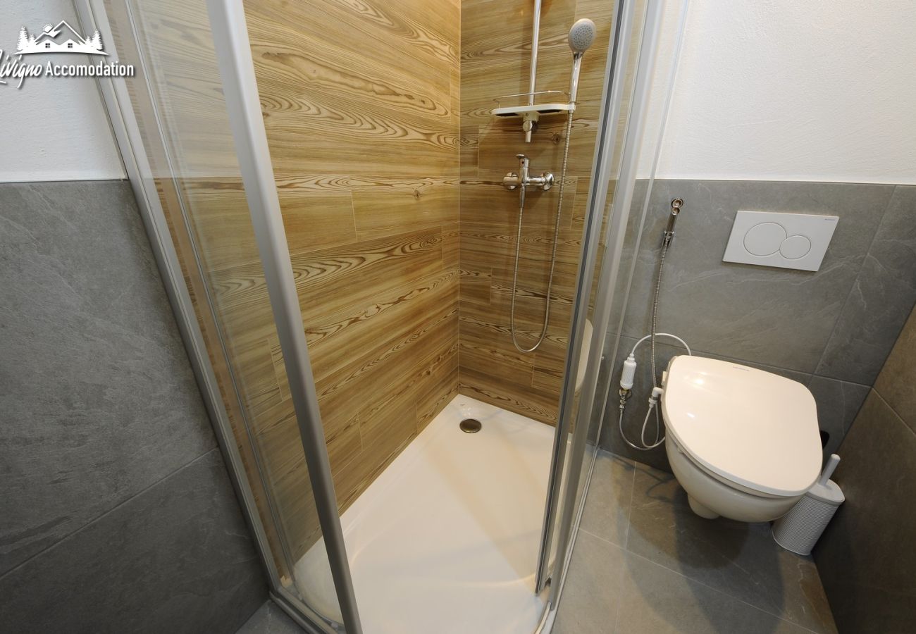 Ferienwohnung in Livigno - Baita Carosello 6