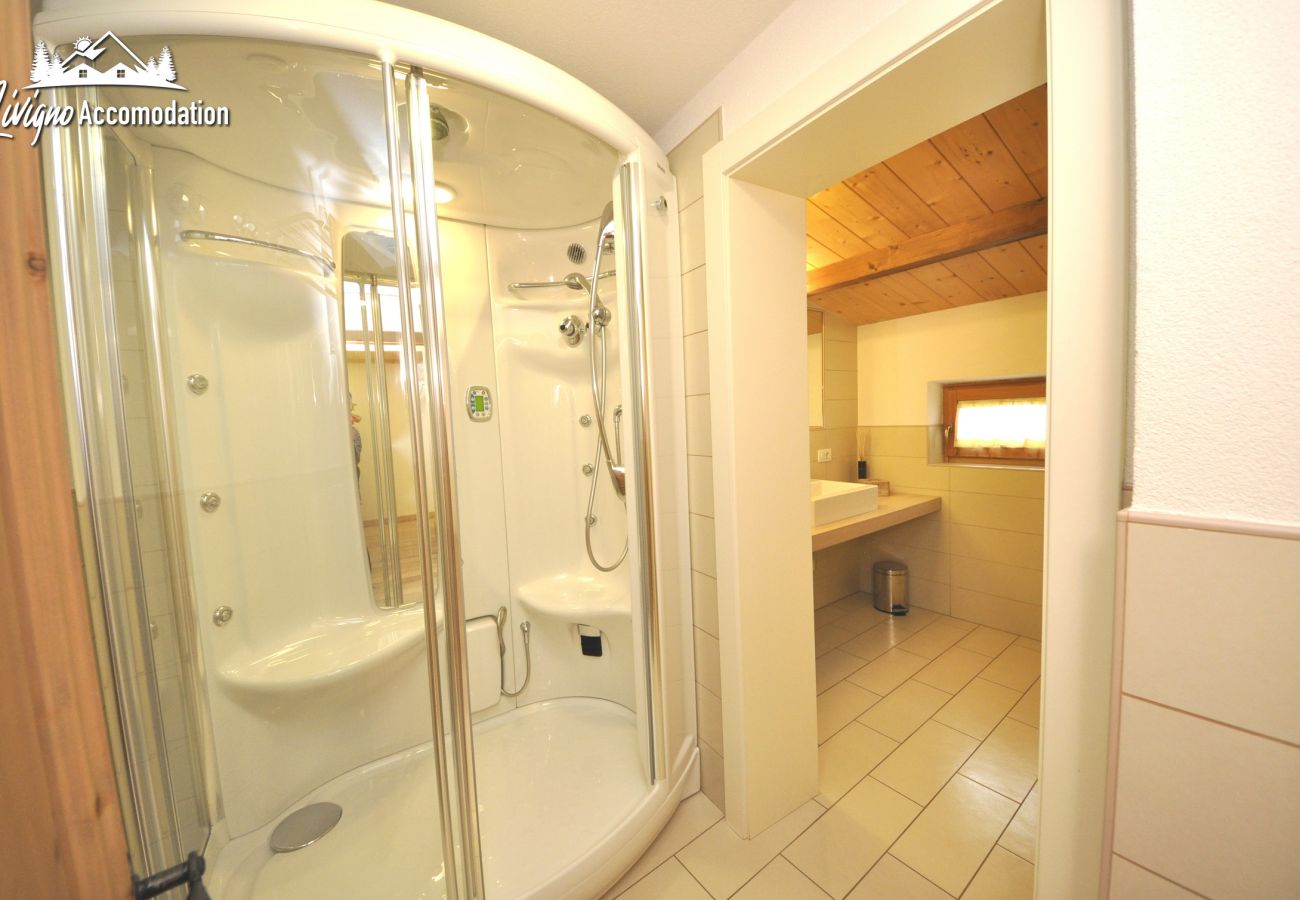 Ferienwohnung in Livigno - Appartamenti Green Van Gogh