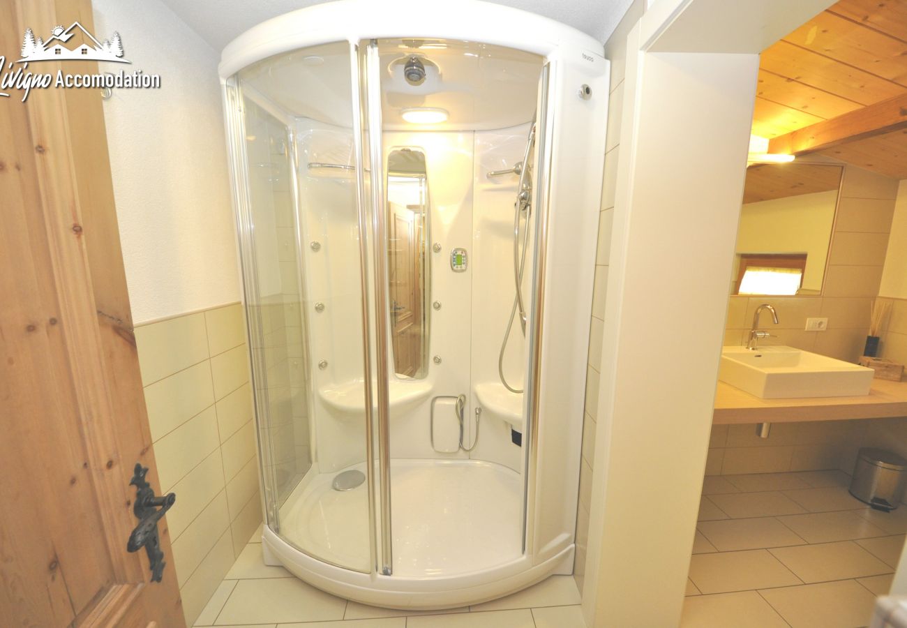 Ferienwohnung in Livigno - Appartamenti Green Van Gogh