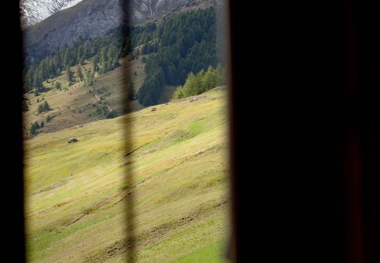 Ferienwohnung in Livigno - Appartamenti Green Van Gogh