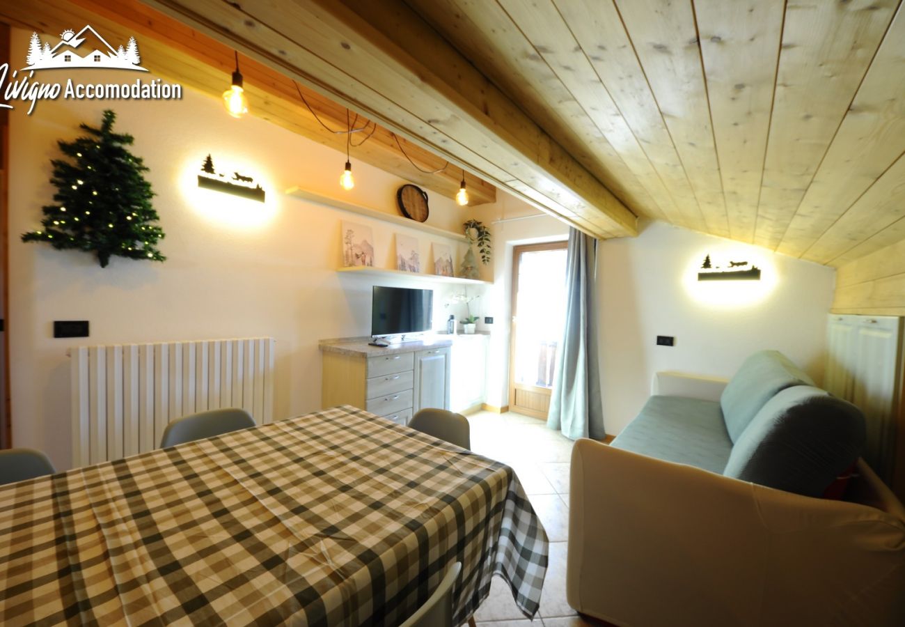 Ferienwohnung in Livigno - Appartamento Reja