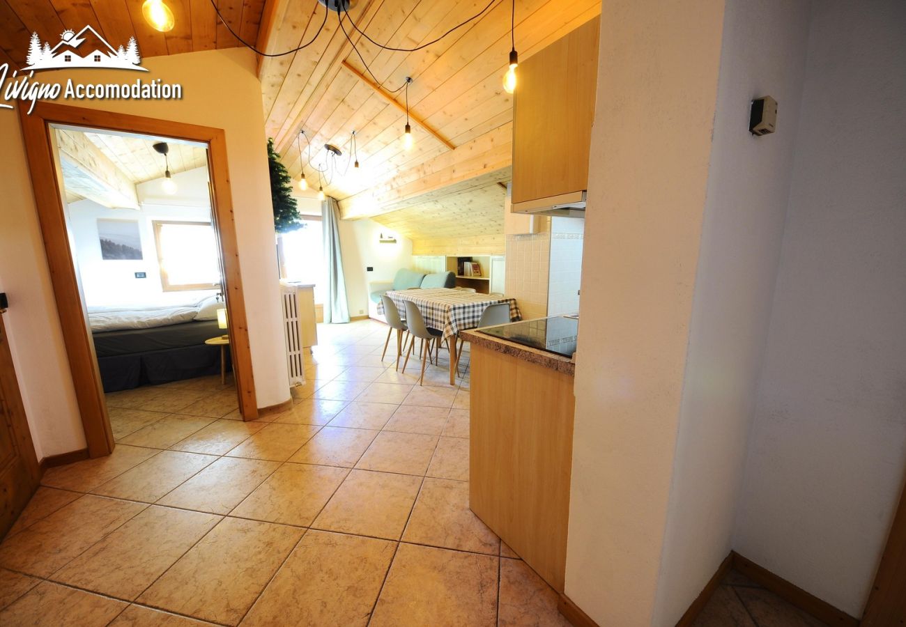 Ferienwohnung in Livigno - Appartamento Reja