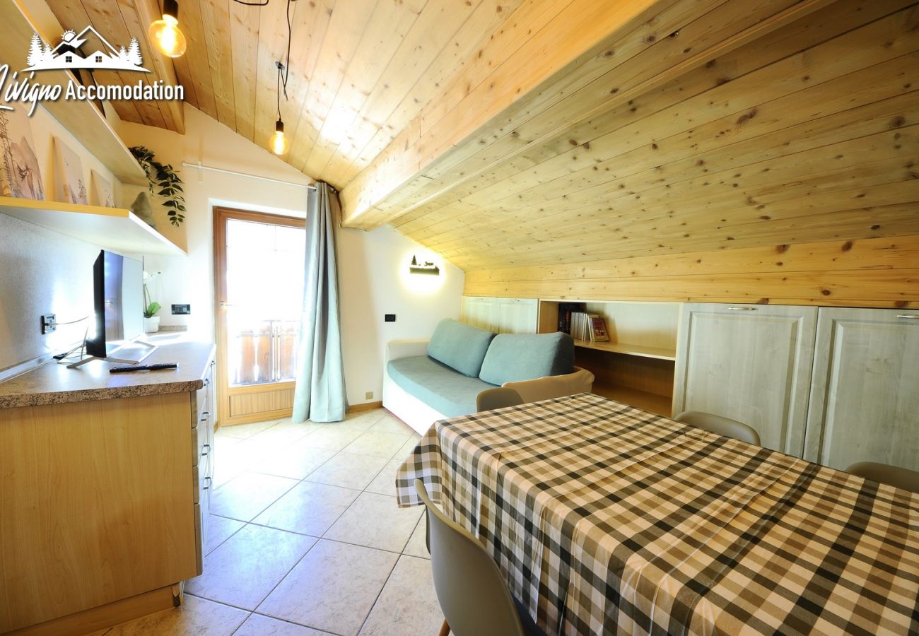 Ferienwohnung in Livigno - Appartamento Reja