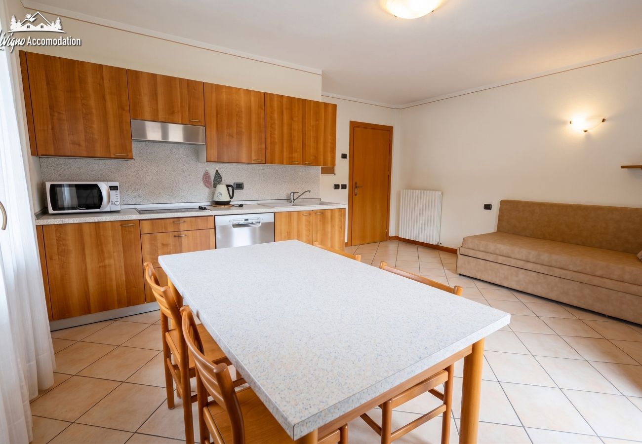 Ferienwohnung in Livigno - asa Savio 4  - by Livigno Accomodation