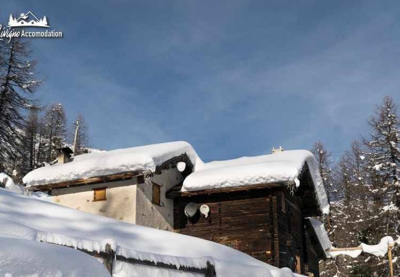 Chalet in Livigno - Baita Hanzel & Gretel - Appartamento Hanzel 