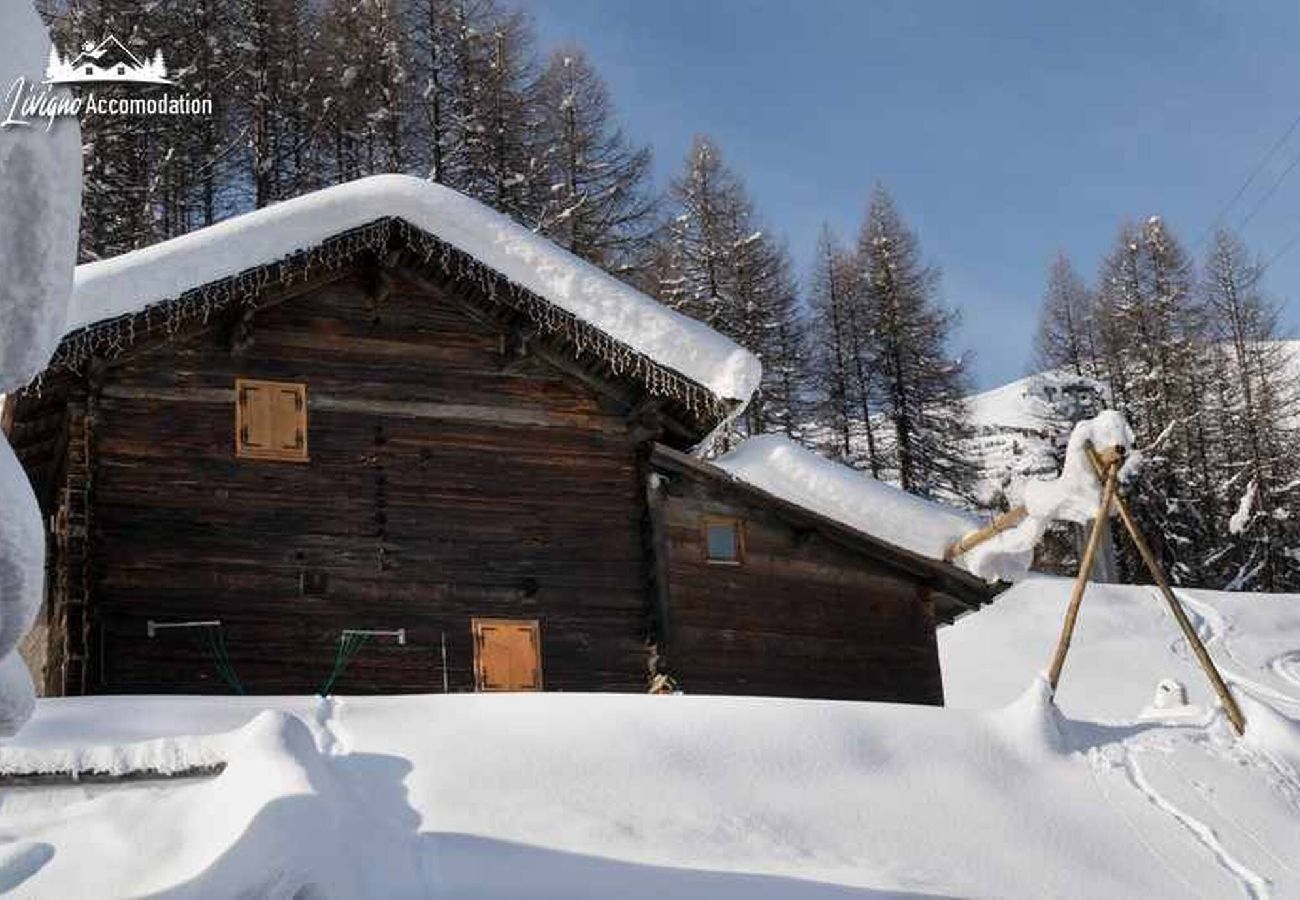 Chalet in Livigno - Baita Hanzel & Gretel - Appartamento Hanzel 