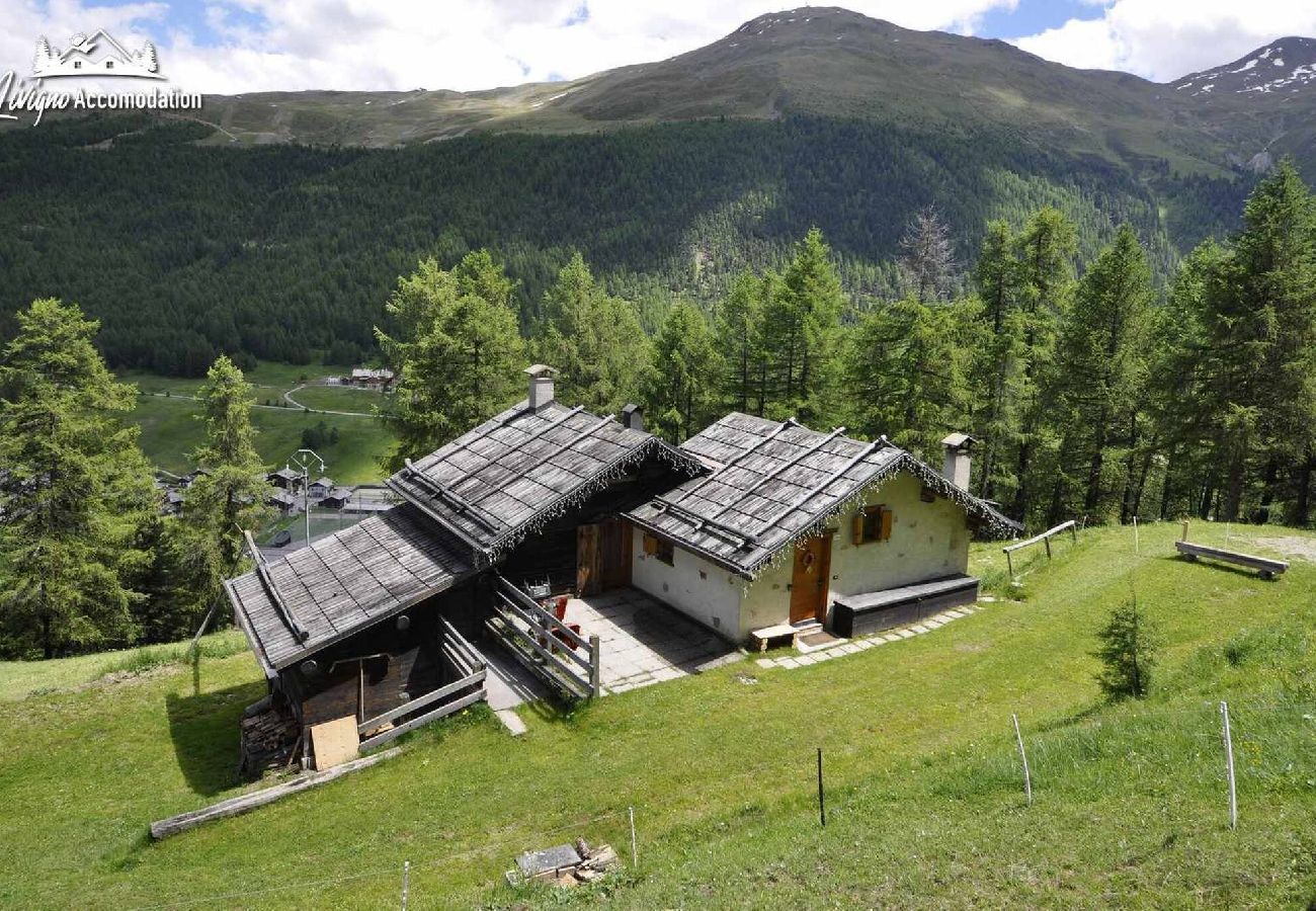 Chalet in Livigno - Baita Hanzel & Gretel - Appartamento Hanzel 