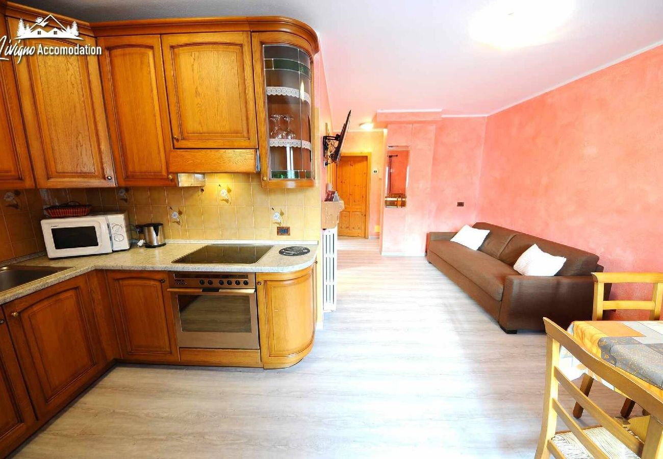 Apartment in Livigno - Casa Longa Appartamento 3 