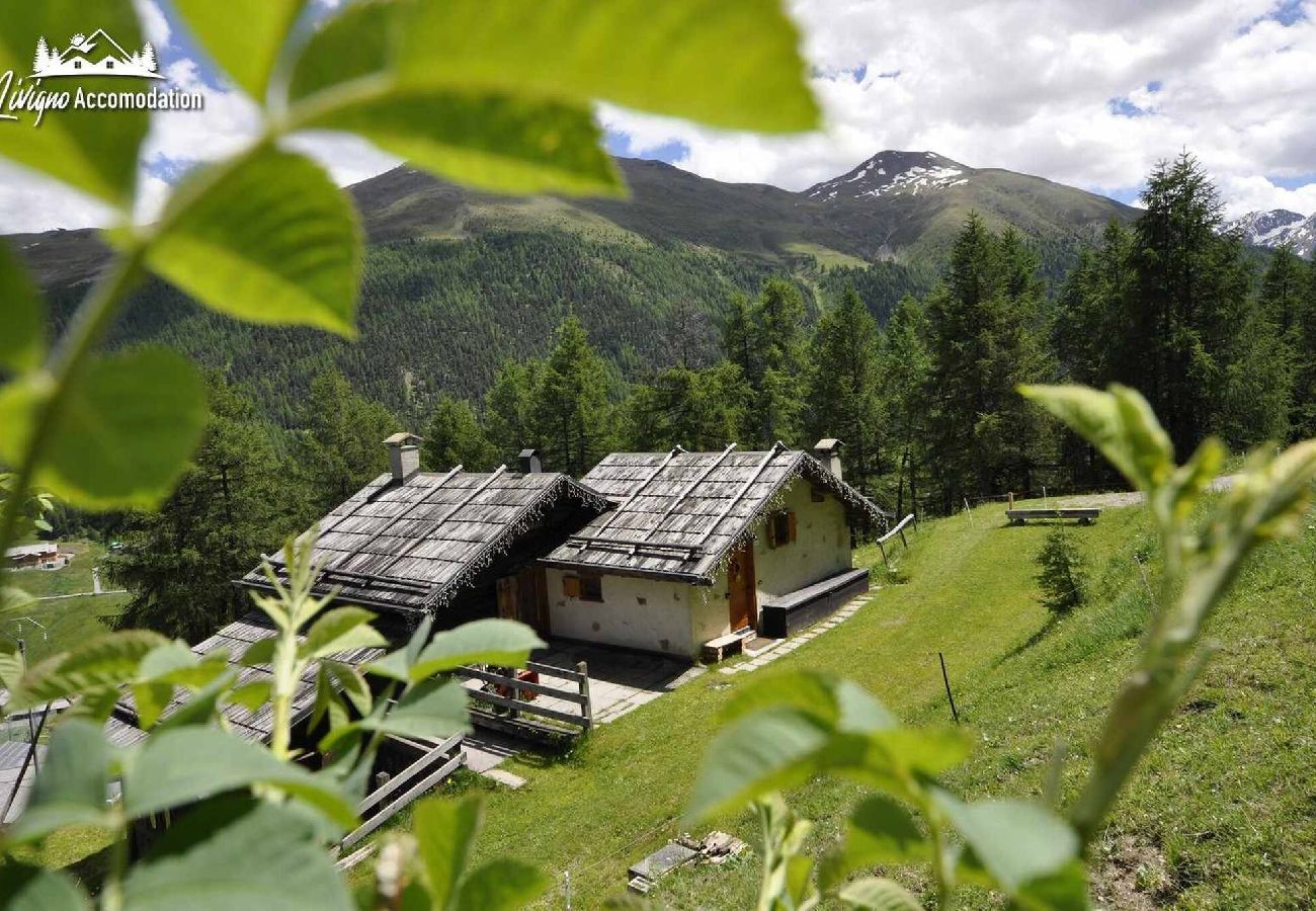 Chalet in Livigno - Baita Hanzel & Gretel - Appartamento Gretel 