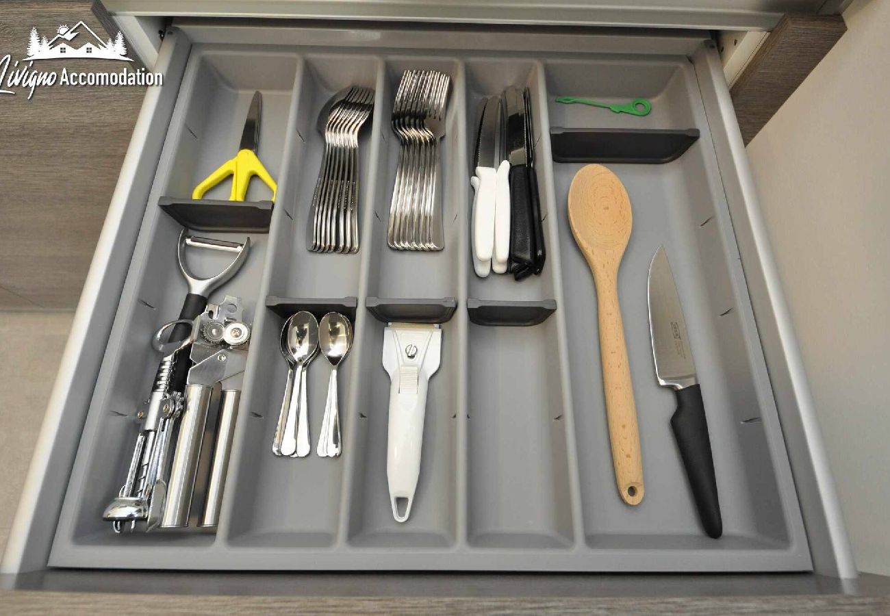 Apartment in Livigno - Eco House Livigno Mara Garden 