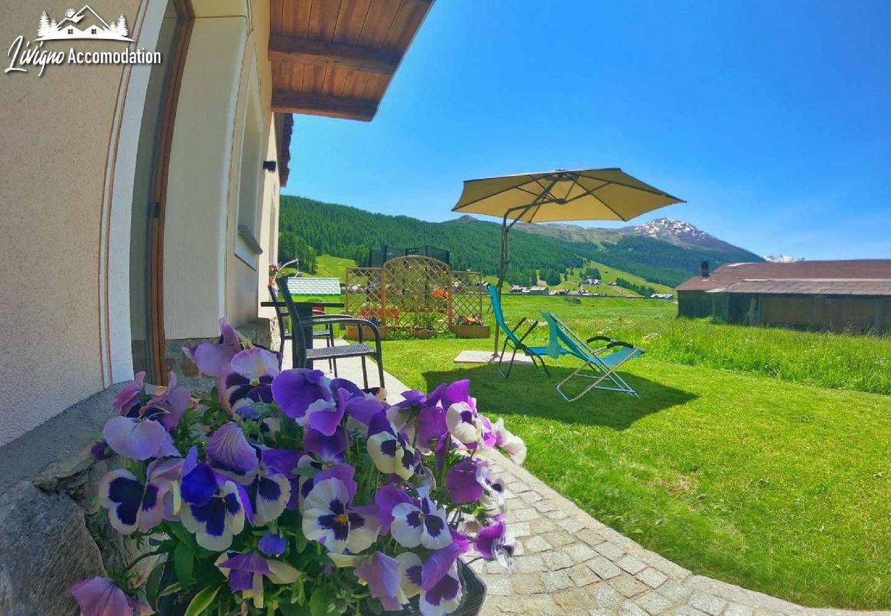 Apartment in Livigno - -