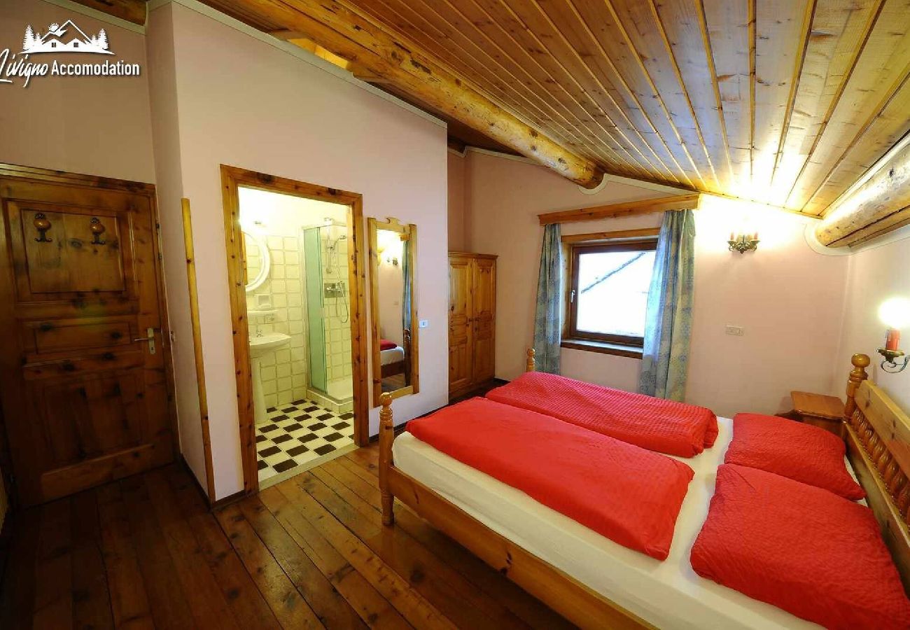 Apartment in Livigno - Appartamento Feloi 