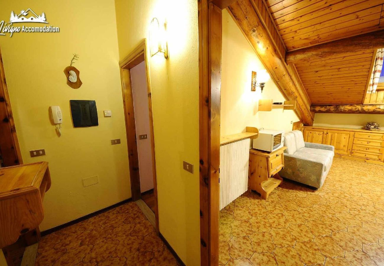 Apartment in Livigno - Appartamento Feloi 