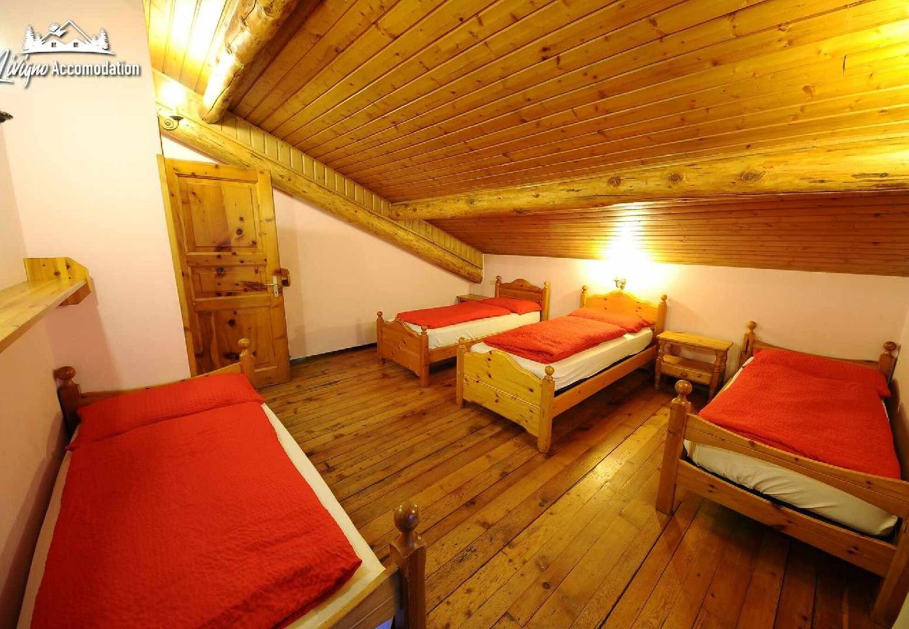 Apartment in Livigno - Appartamento Feloi 