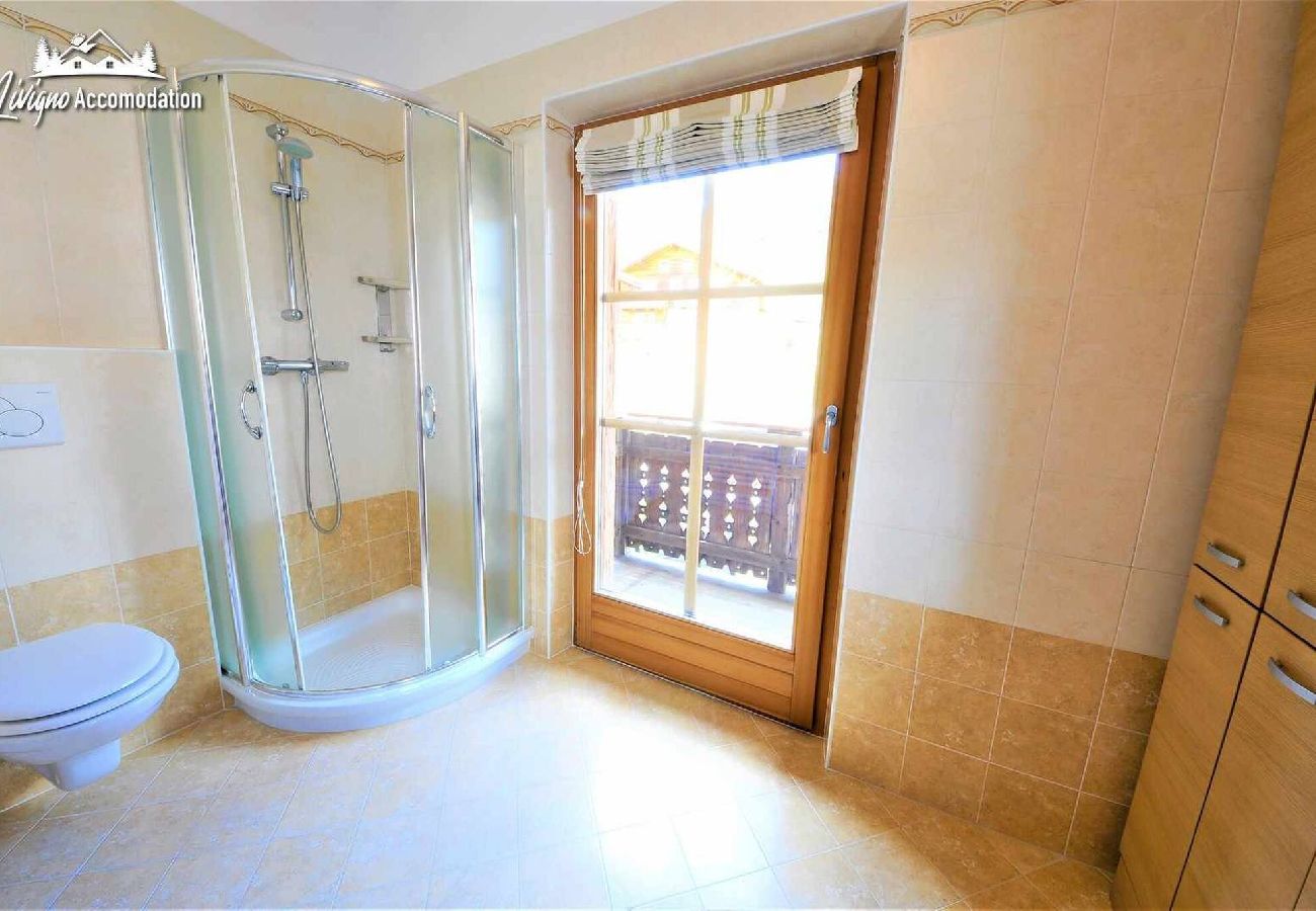 Apartment in Livigno - Appartamento Neve - Neve 