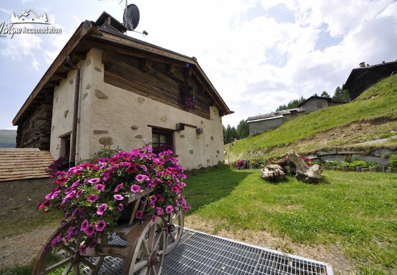 Chalet in Livigno - Mountain Chalet Scoiattolo 