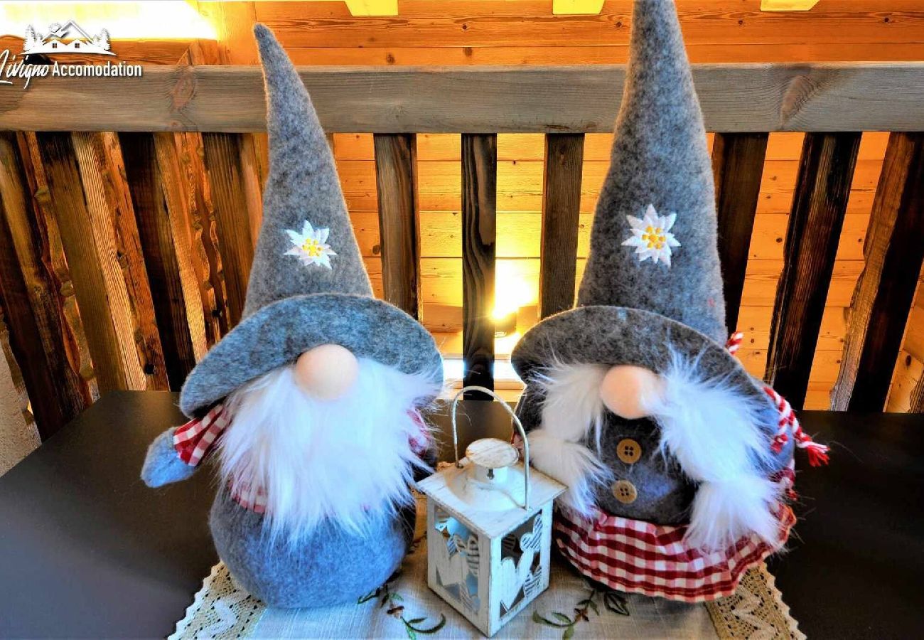 Chalet in Livigno - Mountain Chalet Scoiattolo 