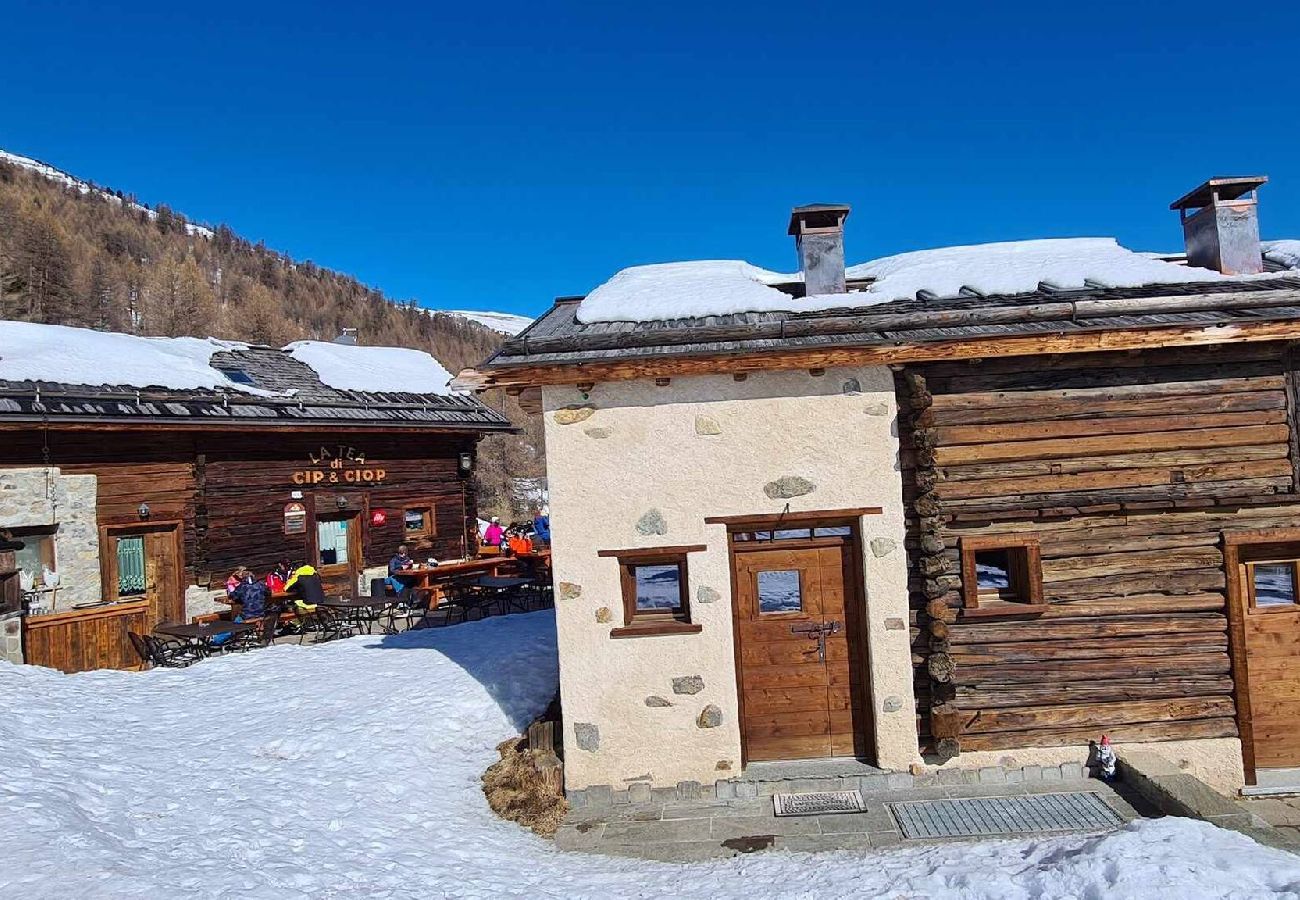 Chalet in Livigno - Mountain Chalet Scoiattolo 