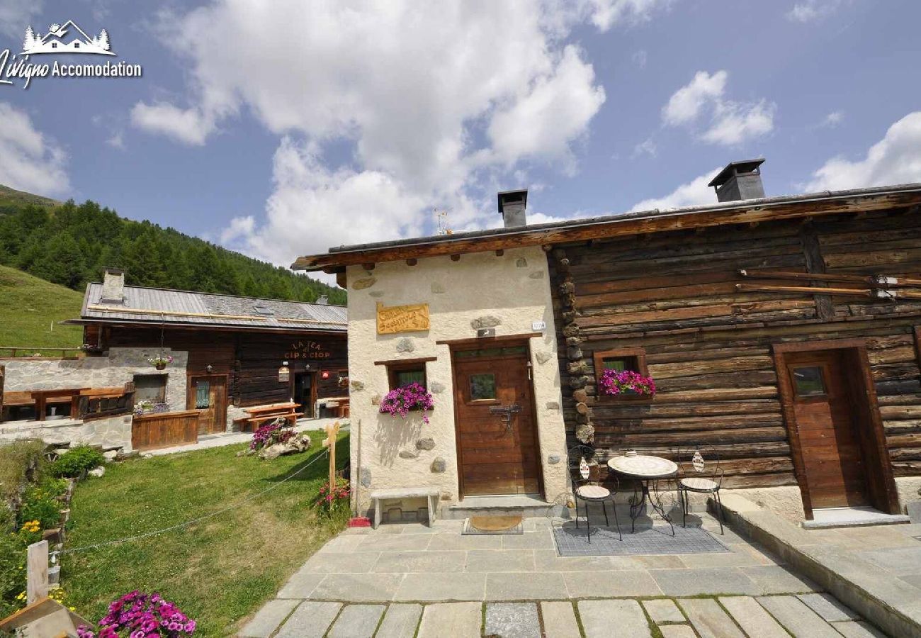 Chalet in Livigno - Mountain Chalet Scoiattolo 