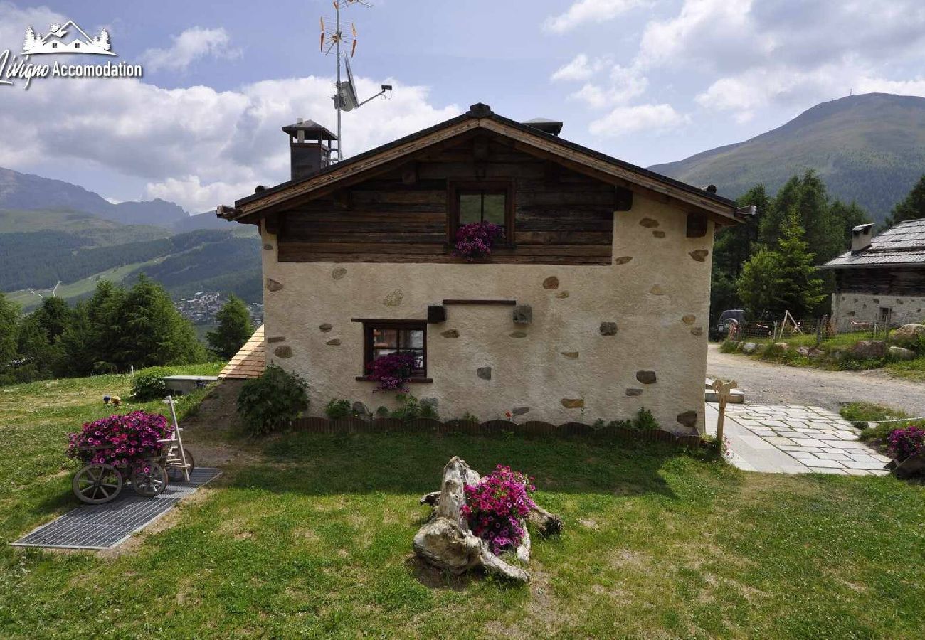 Chalet in Livigno - Mountain Chalet Scoiattolo 