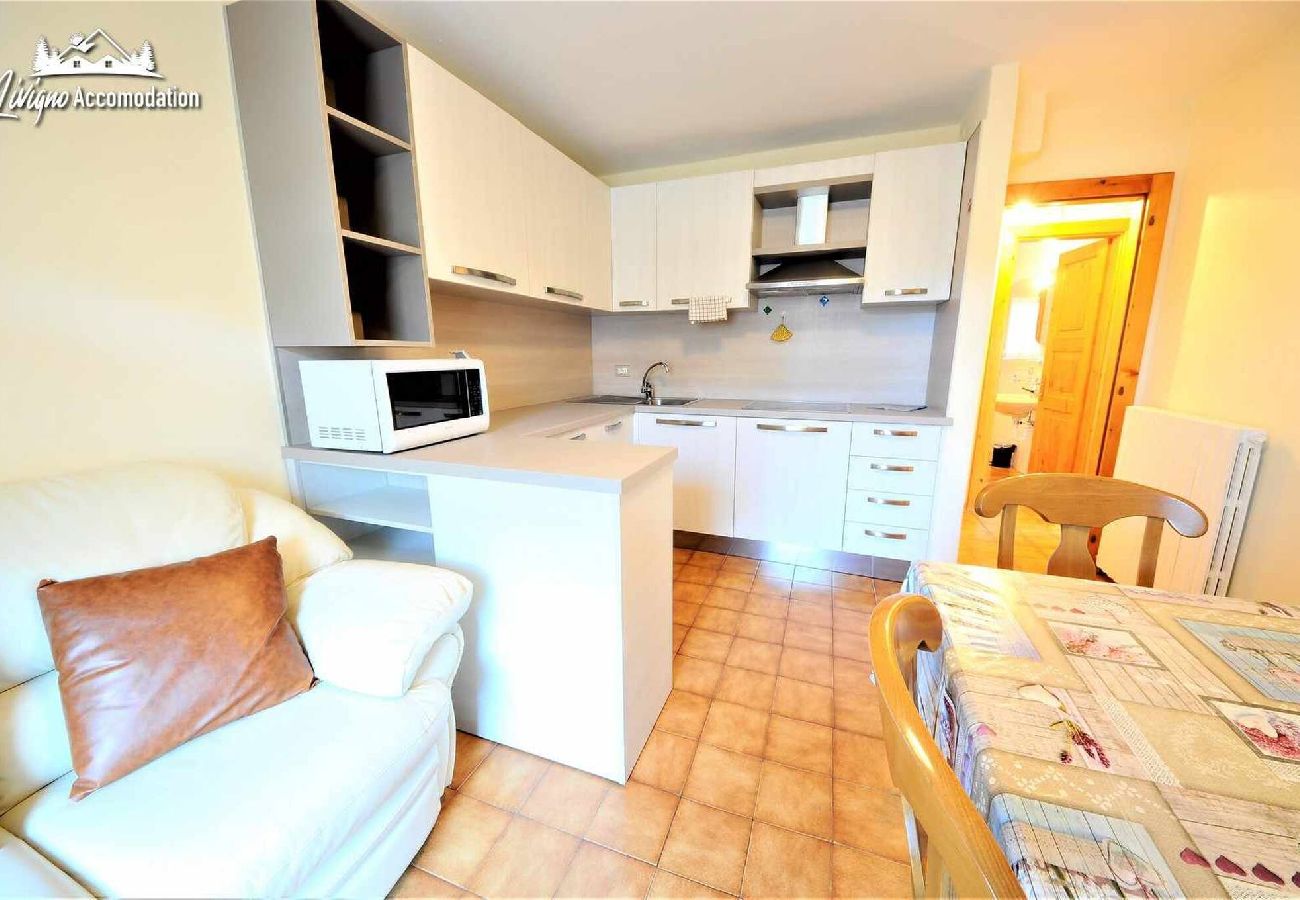 Apartment in Livigno - Appartamento Barin Doreni