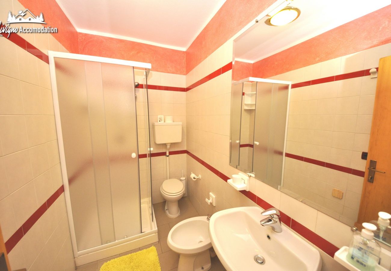 Apartment in Livigno - Baita Carosello 4