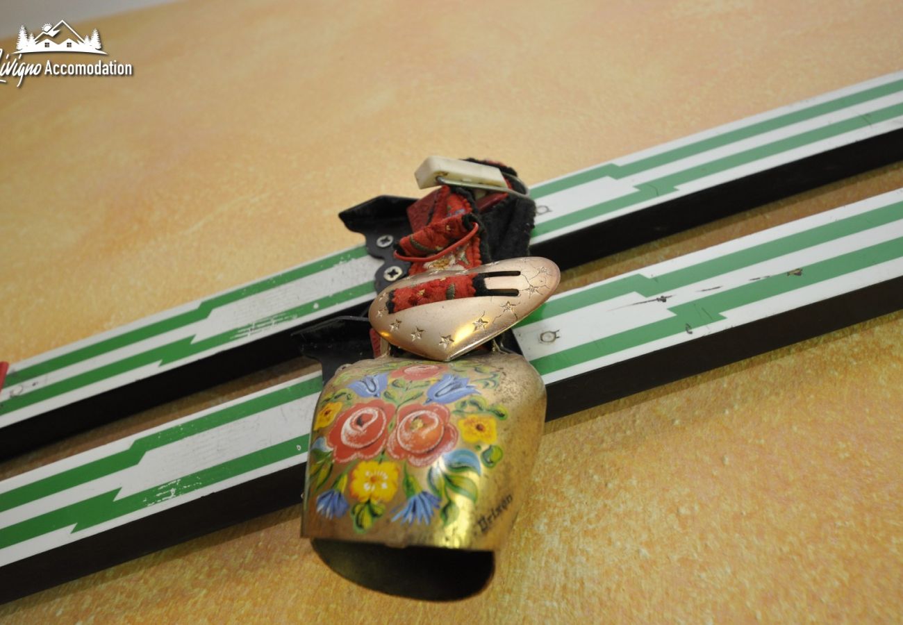 Apartment in Livigno - Baita Carosello 4