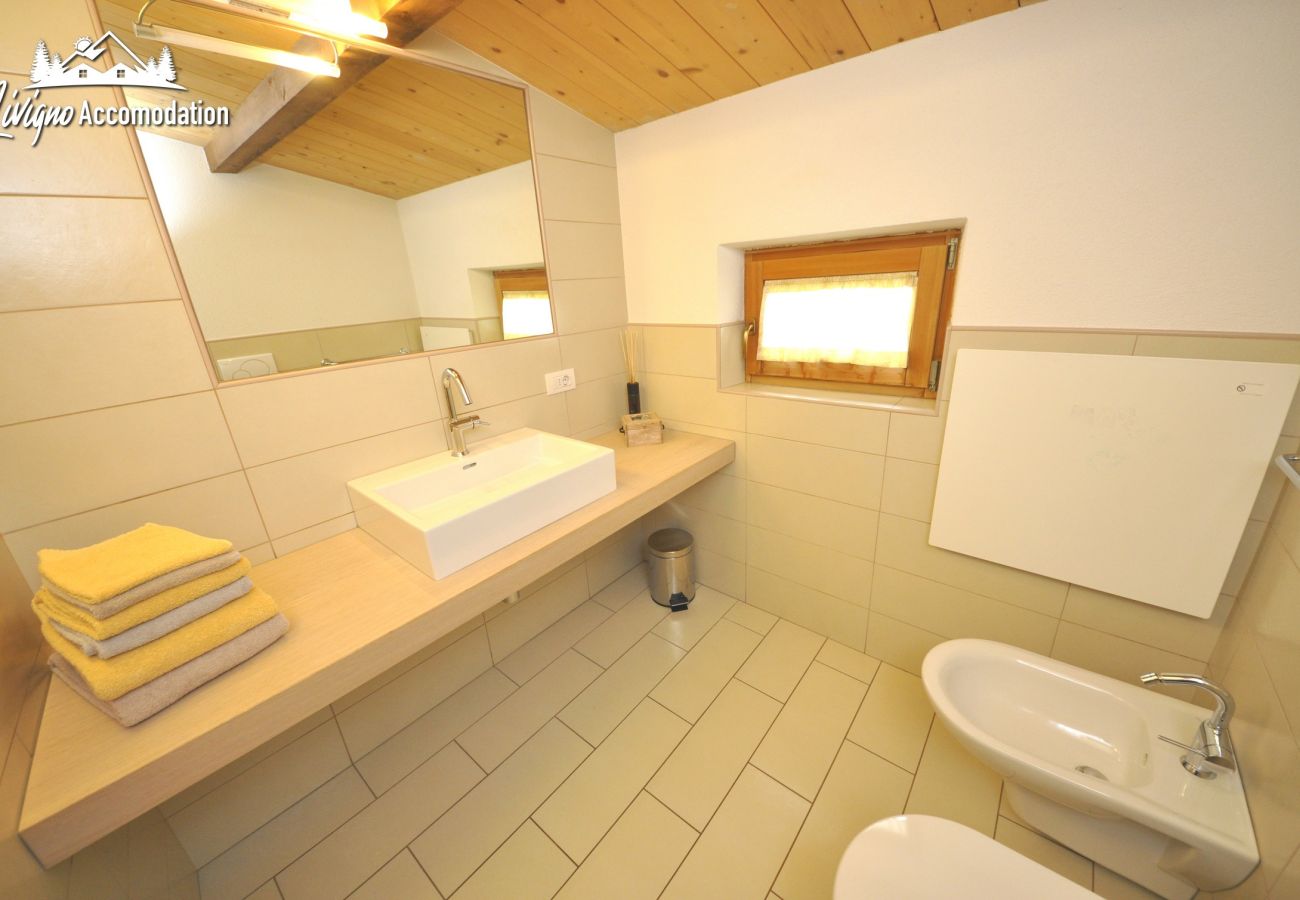 Apartment in Livigno - Appartamenti Green Van Gogh