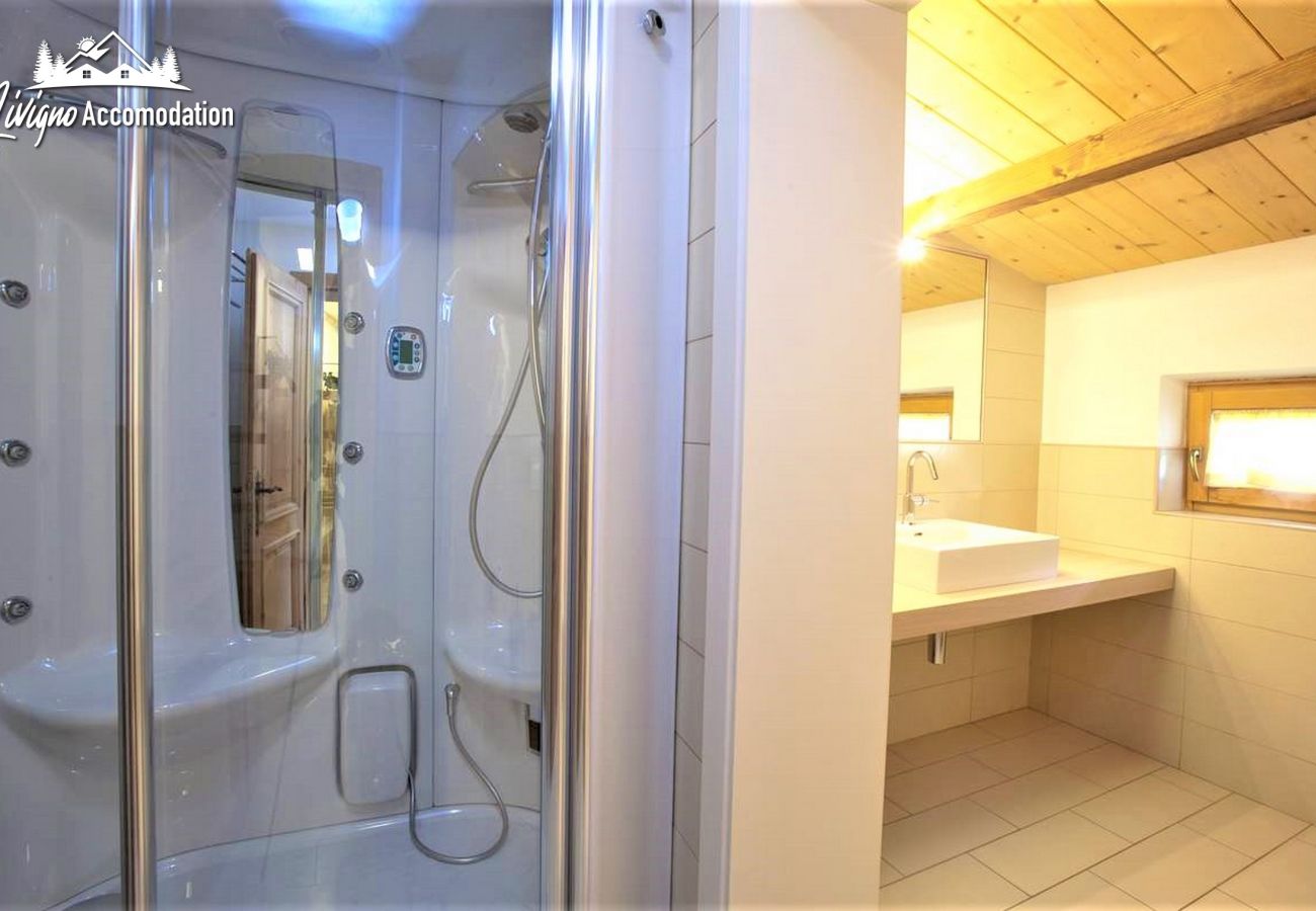 Apartment in Livigno - Appartamenti Green Van Gogh