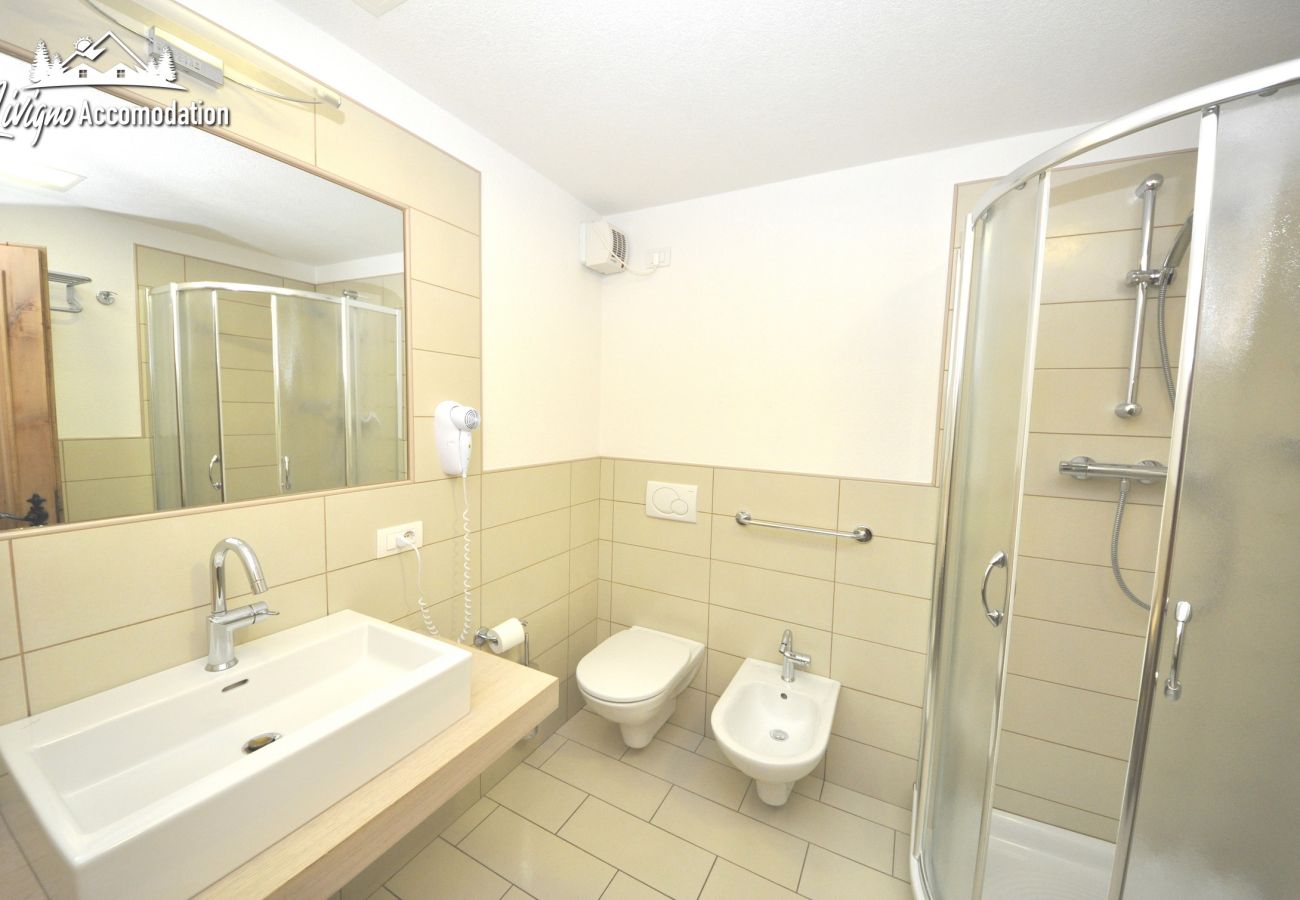 Apartment in Livigno - Appartamenti Green Van Gogh