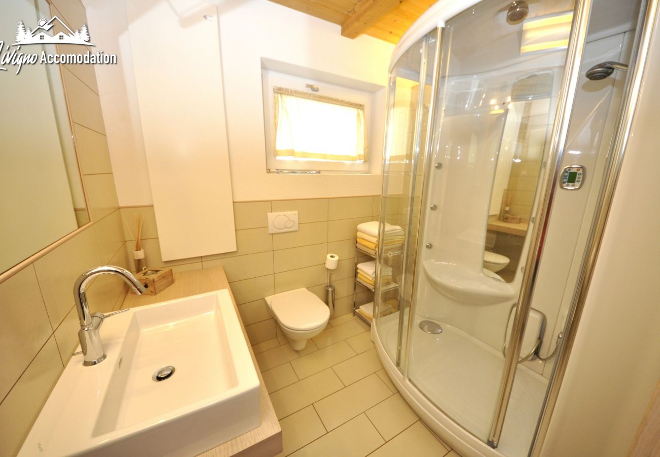 Apartment in Livigno - Appartamenti Green Gustav Klimt