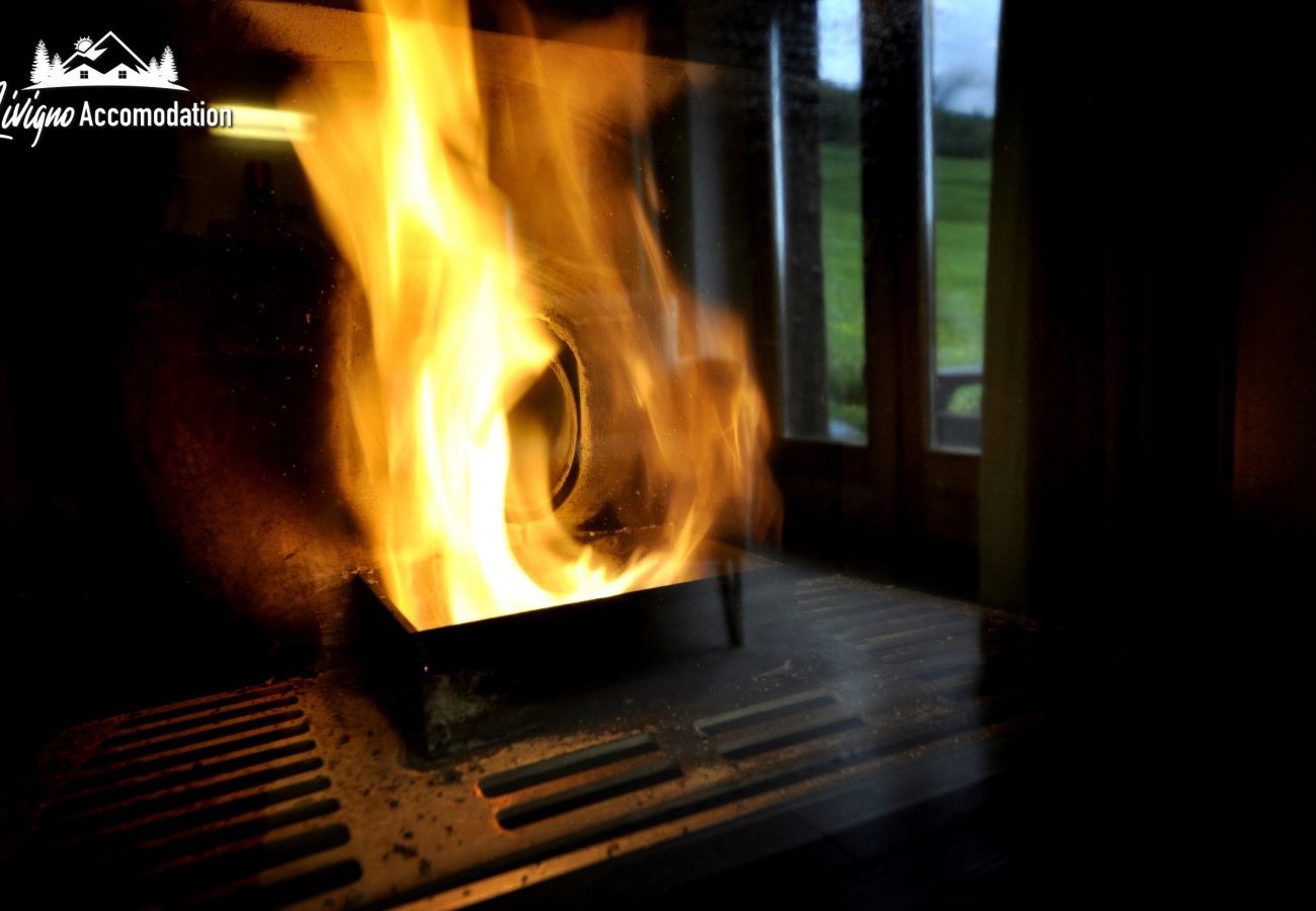 Apartment in Livigno - Appartamenti Green Gustav Klimt