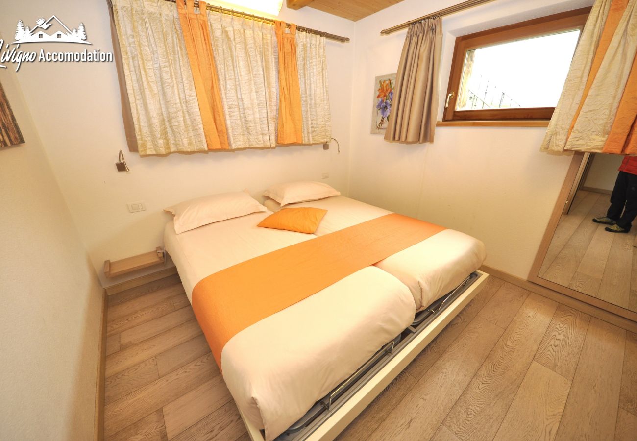 Apartment in Livigno - Appartamenti Green Gustav Klimt