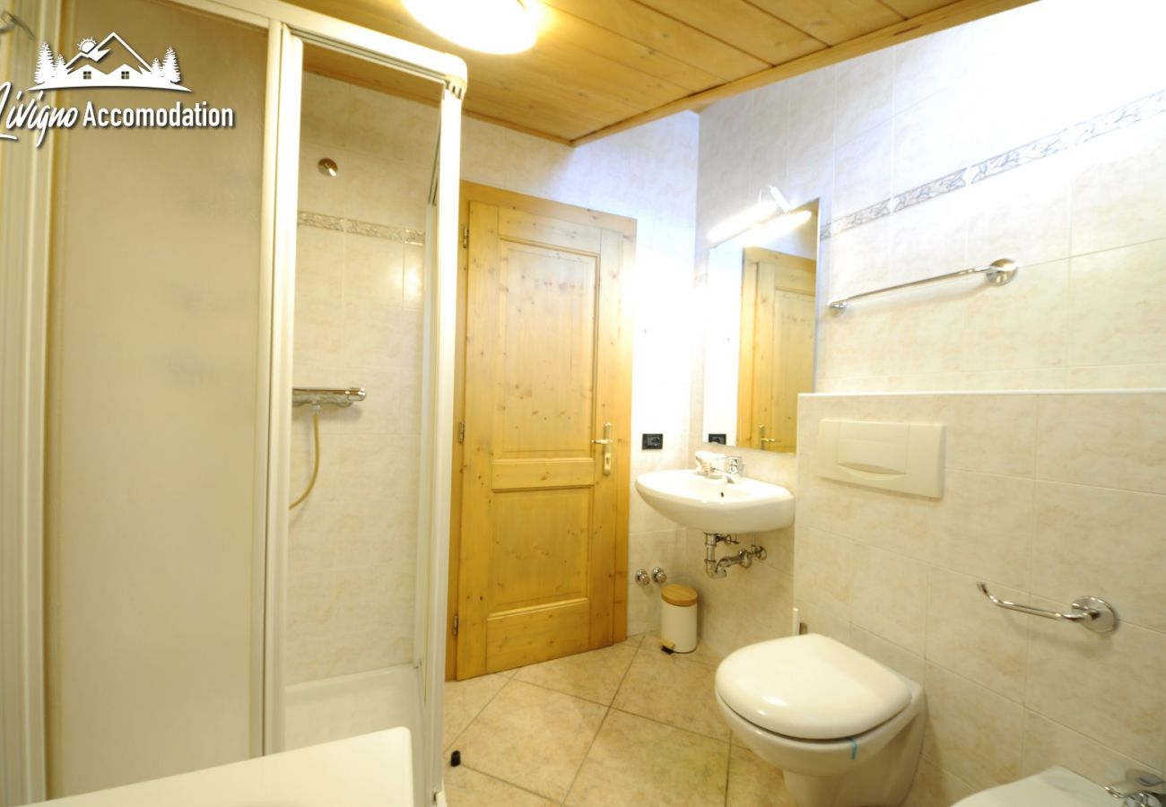 Apartment in Livigno - Appartamento Reja