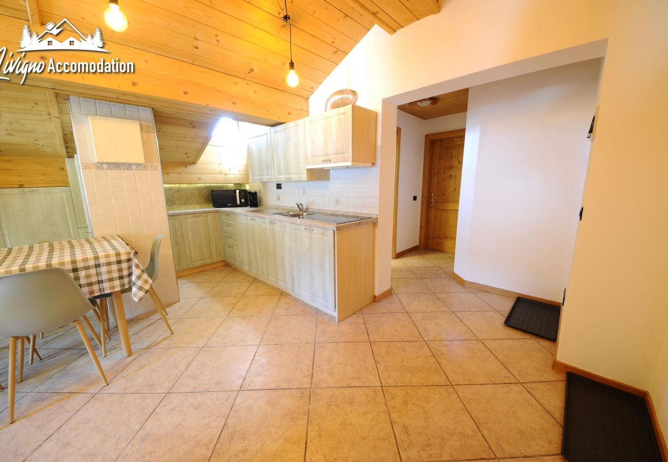 Apartment in Livigno - Appartamento Reja