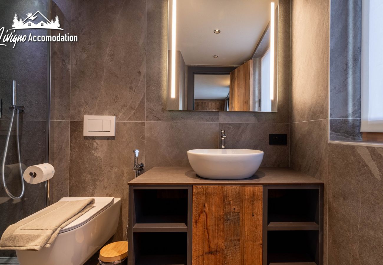 Apartment in Livigno - Chalet 1816 Malto