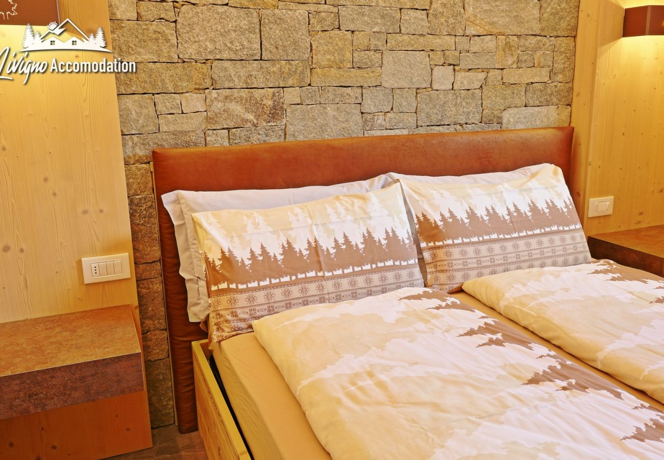 Studio in Livigno - Vito's Chalet Andry