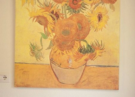 Livigno Appartamenti Green Van Gogh (84)